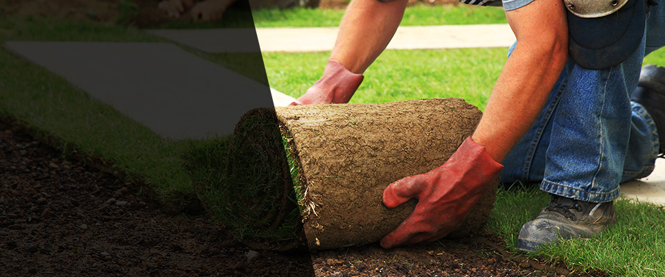 Rhinebeck Landscapers